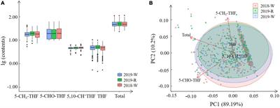 Folate (vitamin B9) content analysis in bread wheat (Triticum aestivum L.)